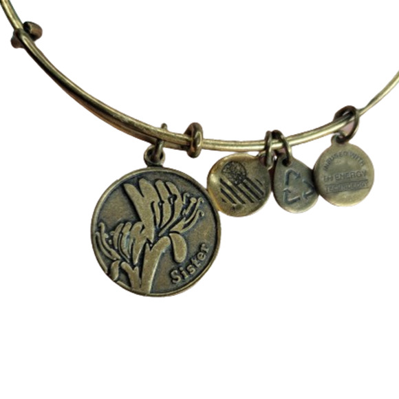 Alex‎ and Ani Sister Charm Bracelet Women's Gold Tone Floral Birthday Gift Cute - Picture 1 of 4